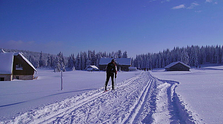 Skilanglauf in Polen, Foto: Admiral Bang, GFDL, CC-BY-SA-3.0-migrated, CC-BY-2.5