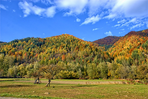 Natur pur in Polen, Pieniny, Foto: CC0, public domain