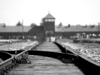 Auschwitz Birkenau Holocaust